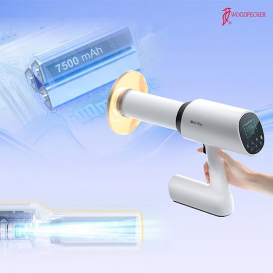 Mini ray circle shield